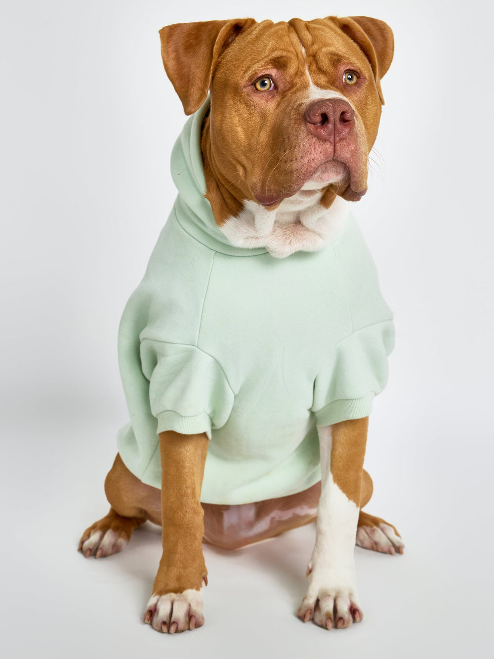 Pastel Paw Hoodie