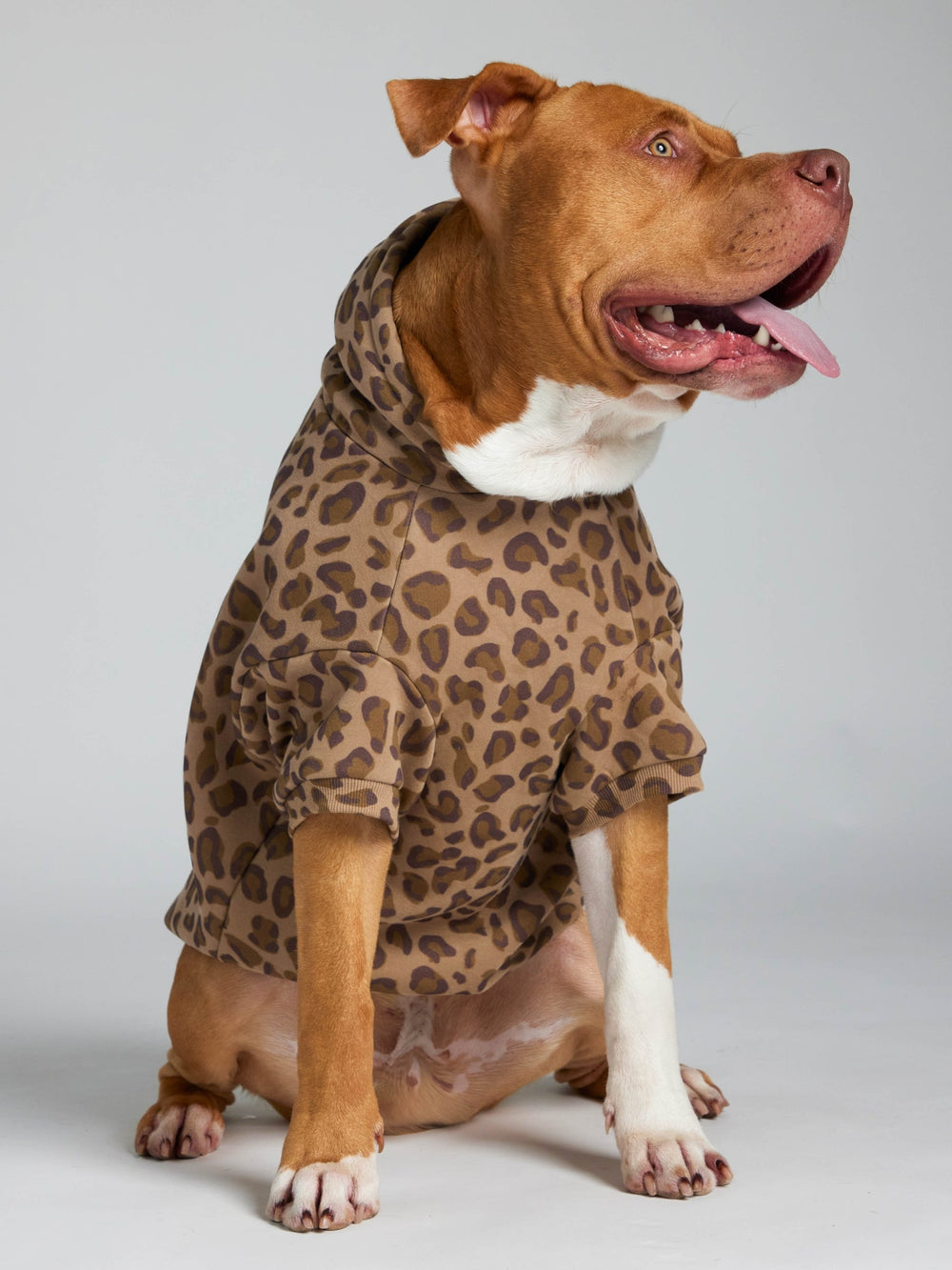 Minimalist Paw Hoodie