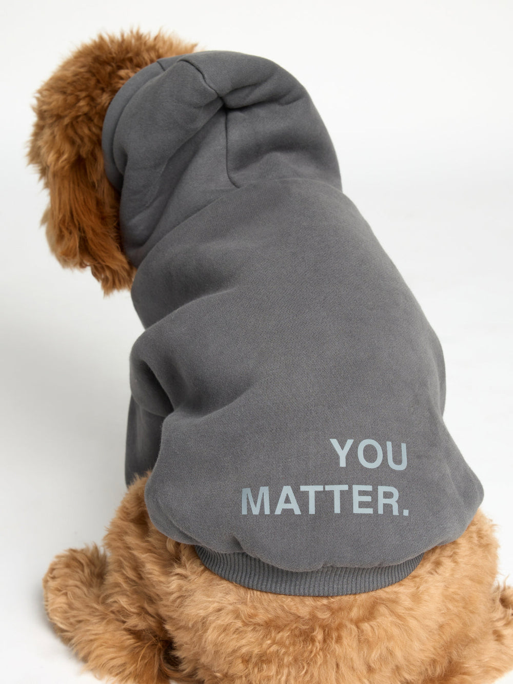 You Matter Paw Hoodie