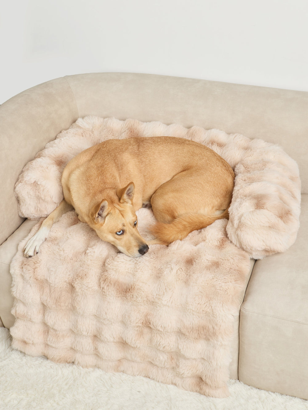 Dream Cloud Pet Sofa Bed