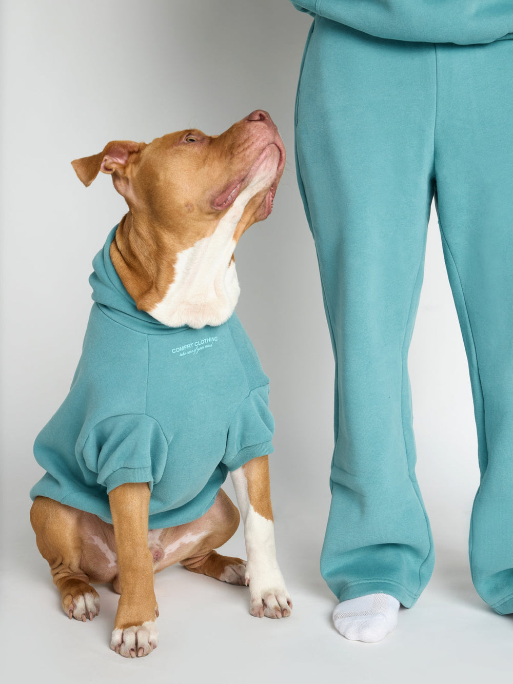 You Matter Paw Hoodie