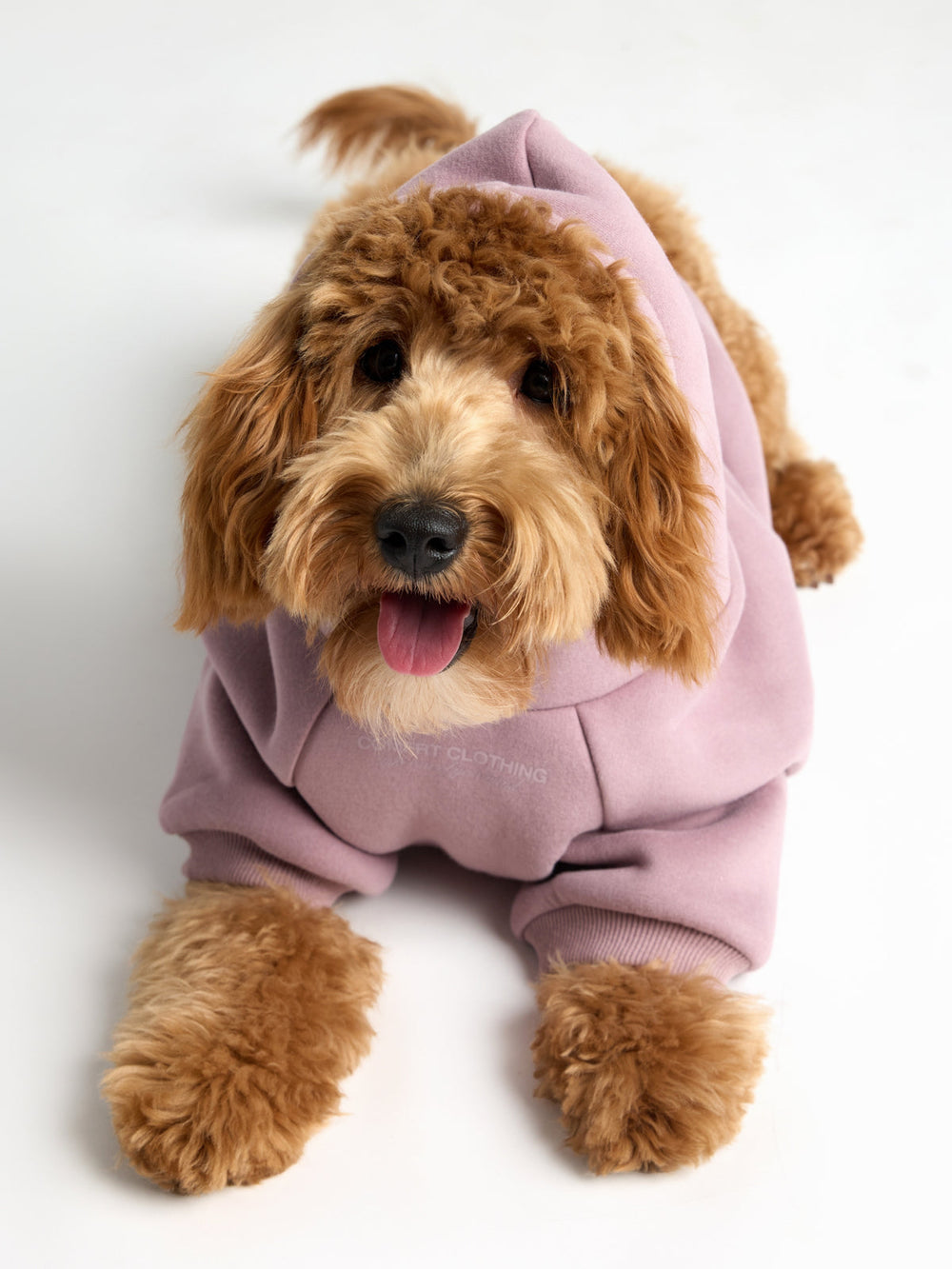 You Matter Paw Hoodie