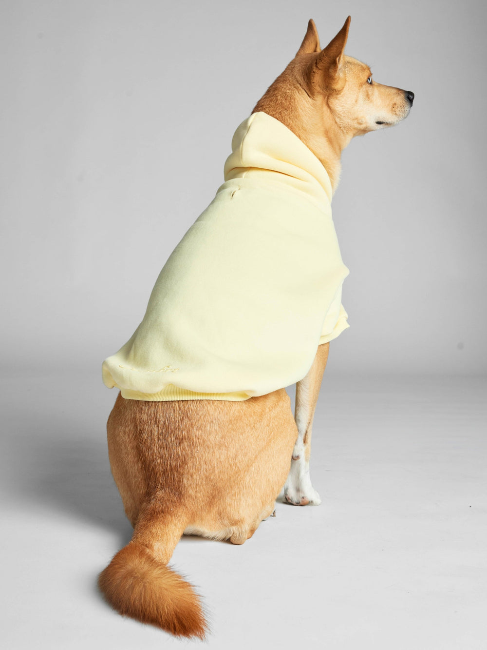 Minimalist Paw Hoodie