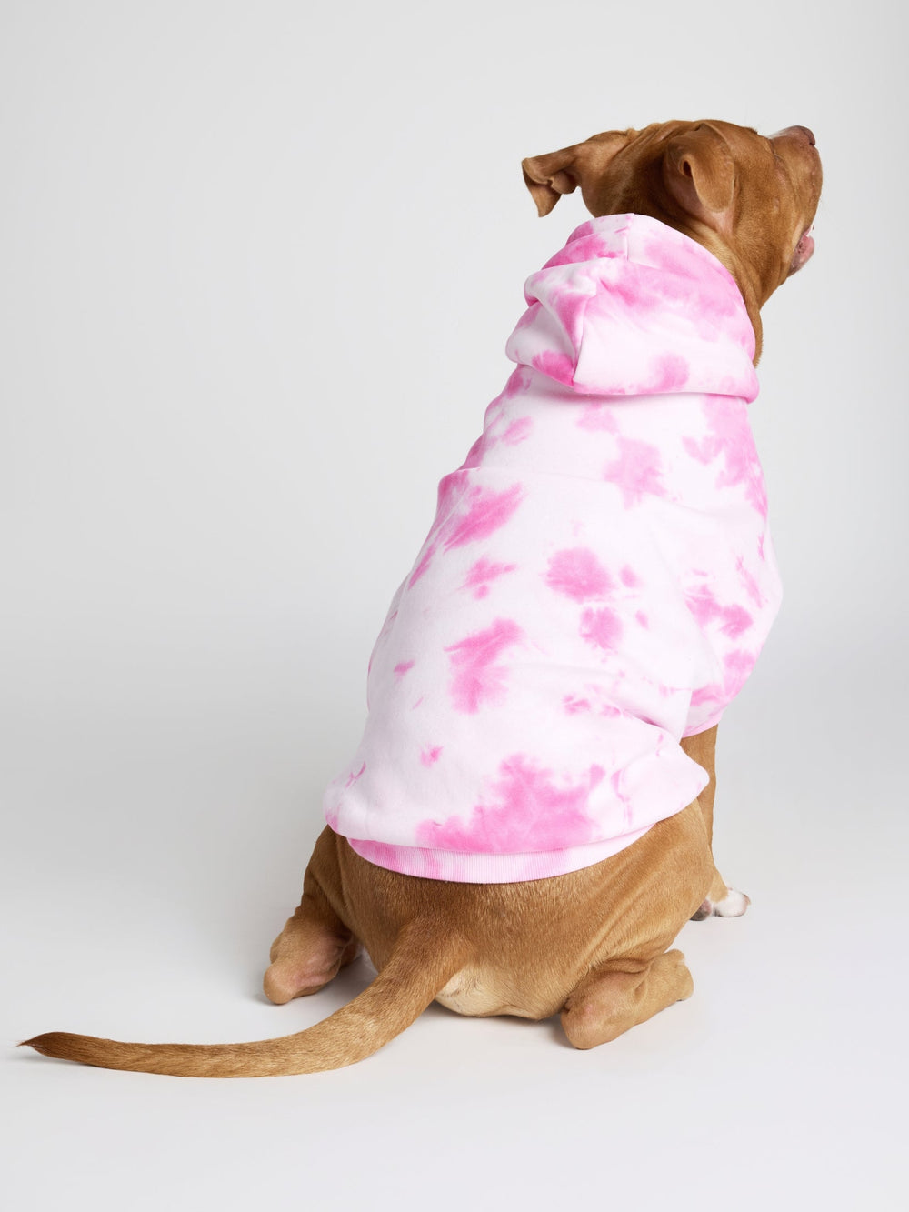 Minimalist Paw Hoodie