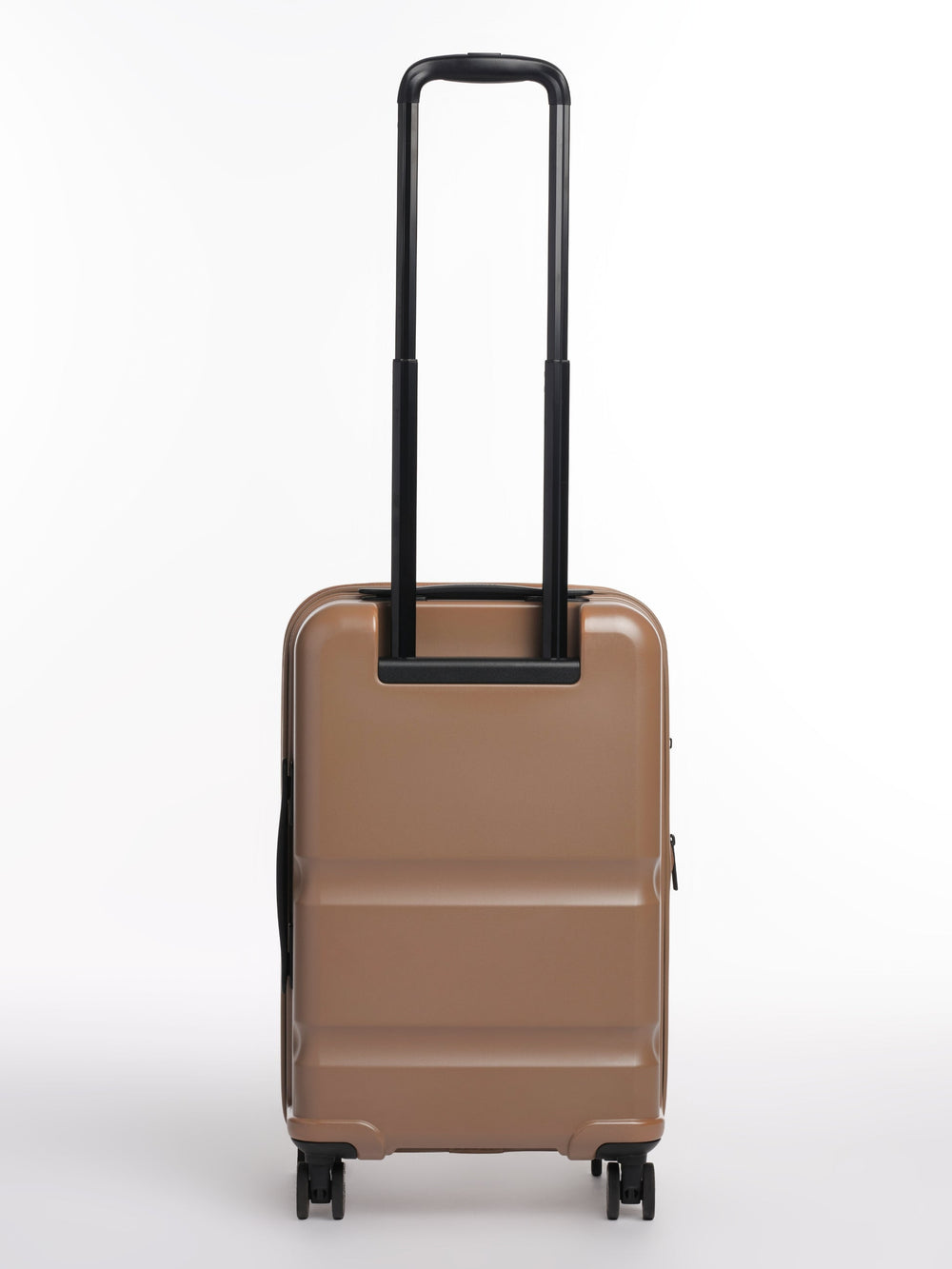 Carry-On Companion Luggage
